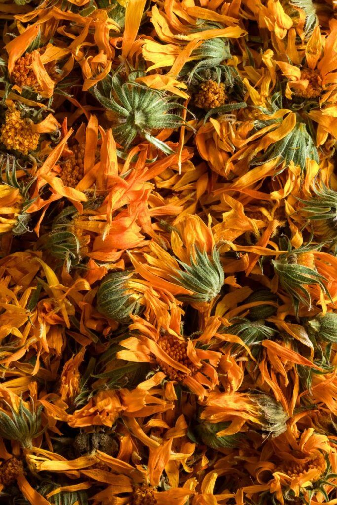 Dried orange calendula flowers
