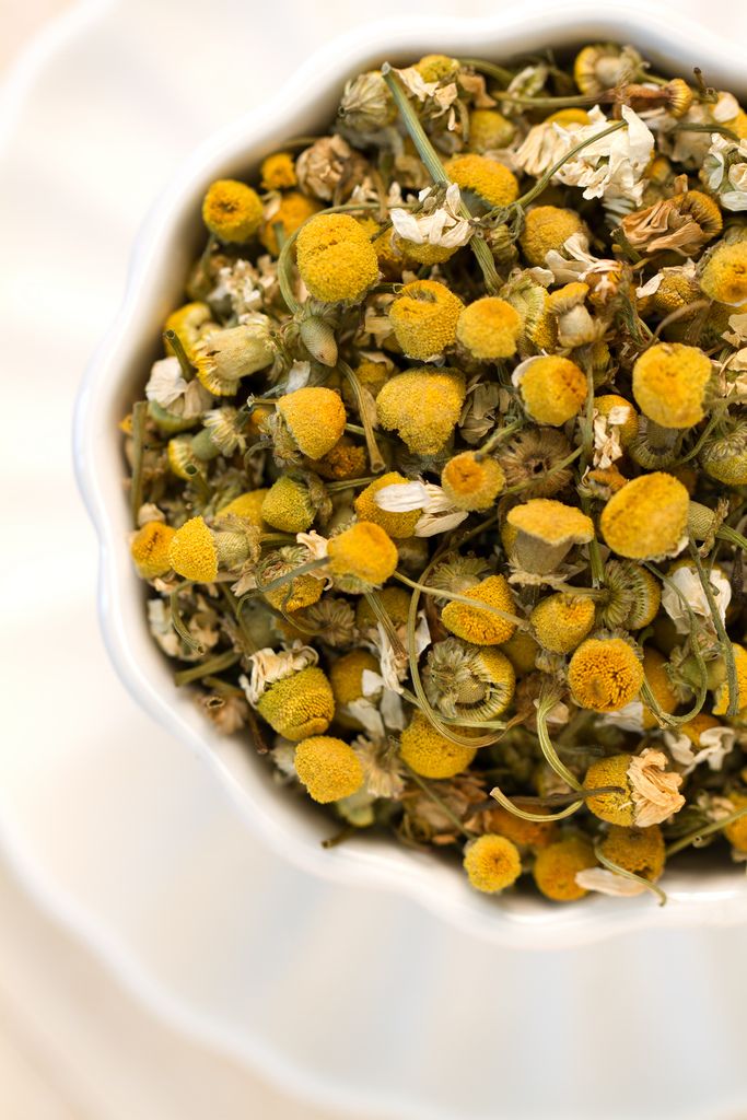 White bowl filled with dried chamomile flower heads